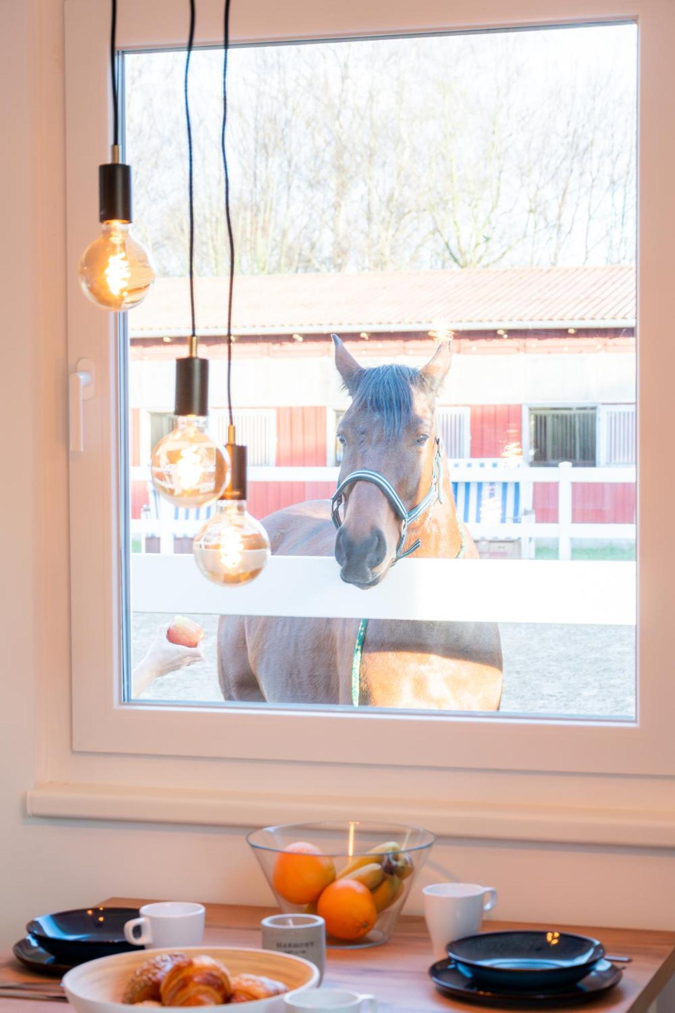Ferienwohnung Reiterhof Boltenhagen Meeresbrise Exterior foto